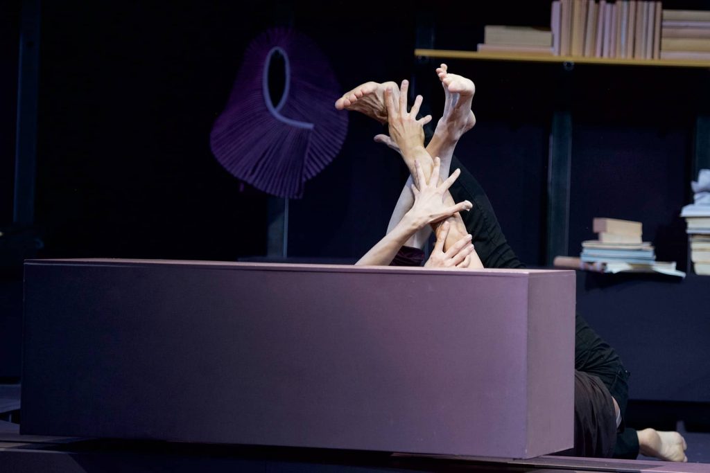  Foto: DIETER HARTWIG