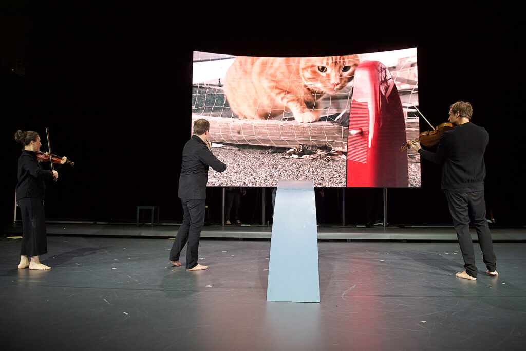  photo: Dieter Hartwig