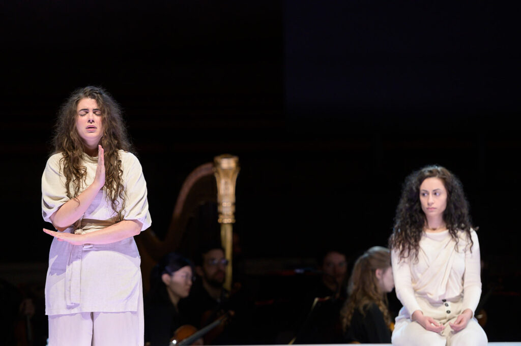  photo: Michael Trippel