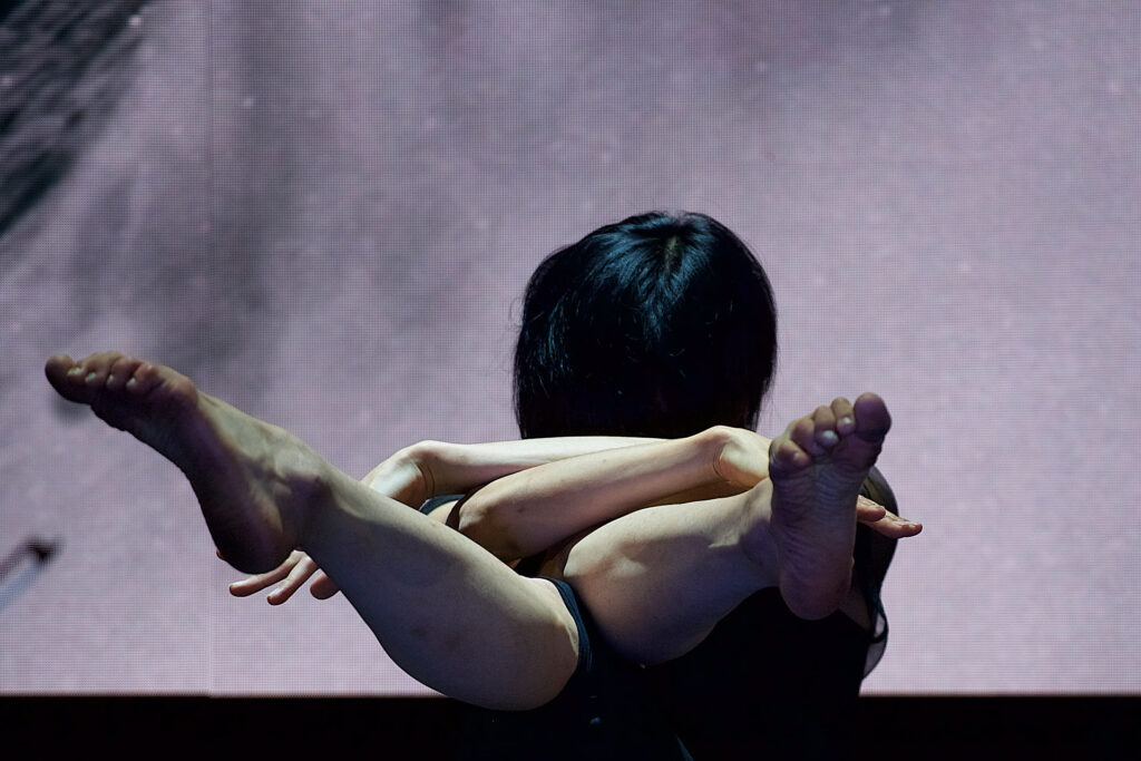  photo: Dieter Hartwig