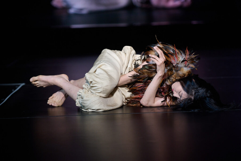  photo: Dieter Hartwig