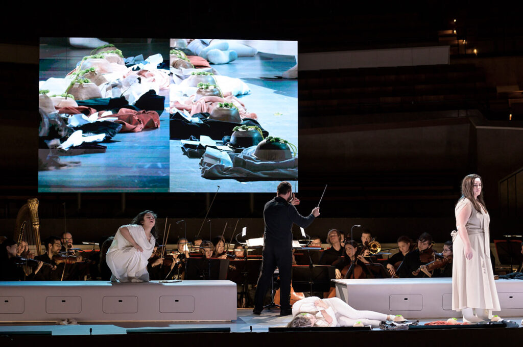  photo: Michael Trippel