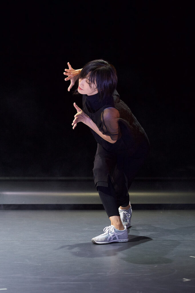  photo: Dieter Hartwig