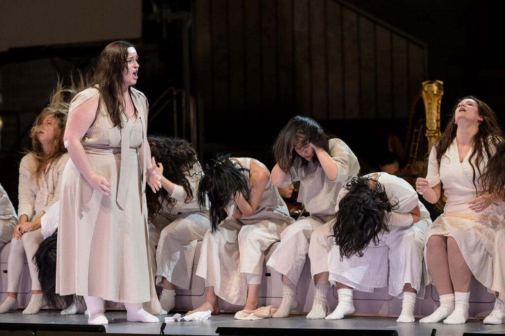  photo: Michael Trippel