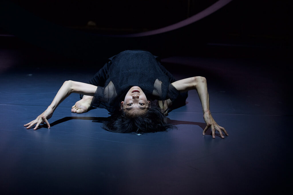  photo: Dieter Hartwig