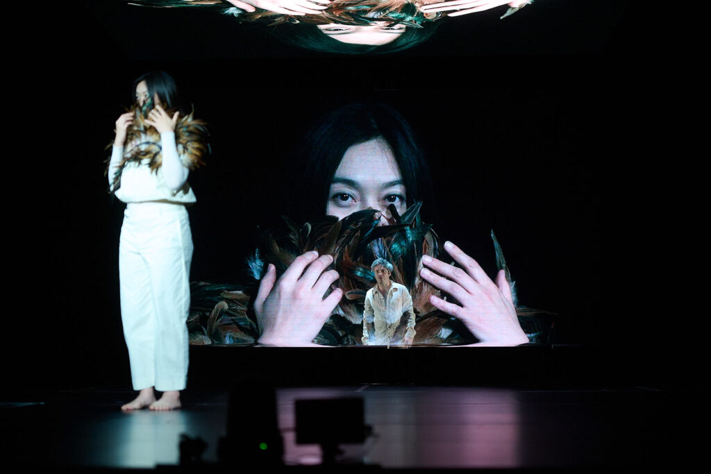  photo: Dieter Hartwig