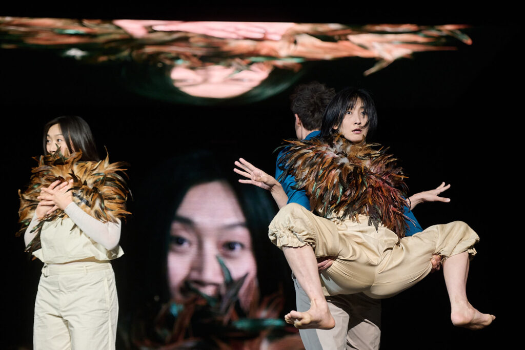  photo: Dieter Hartwig